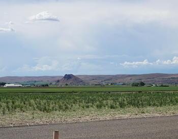 Farm fields with Malheur Butte in the background.