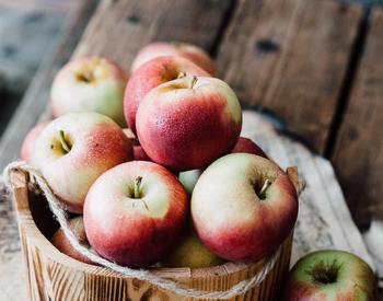 Apples fill a wooden bucket.