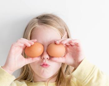 Child holding chicken eggs
