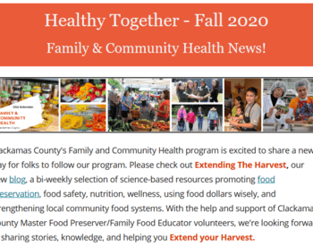 Scxreenshot of the Fall edition of Healthy Together Enews