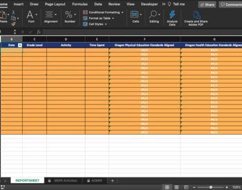 screenshot of BEPA standard reporting tool spreadsheet in Excel