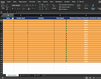 screenshot of national standard reporting tool spreadsheet in Excel