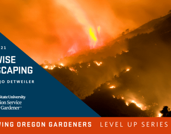 wildfire burning through hillside, promotional flyer