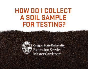 How do I collect a soil sample for testing? Image of soil.