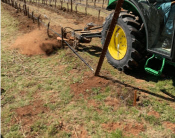 An undervine cultivator is used in a vineyard during spring.