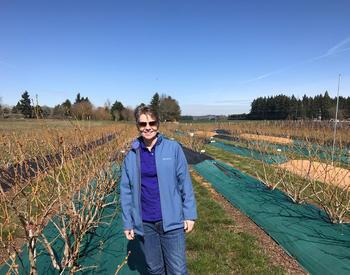 In Bernadine Strik's 34 years at OSU, blueberry acreage in Oregon jumped from 1,200 to 15,000 acres with large changes in production systems based on her research.