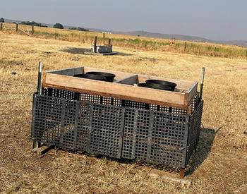 An elevated mineral stand sits in a field. The raised platform allows cattle and goats to access mineral supplements while keeping out other livestock.