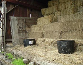 Stacks of low-quality grass hay bales are shown in a barn along with two tubs for supplemental protein.