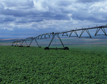 Center-pivot irrigation systems keep crop fields productive in the dry Hermiston climate.