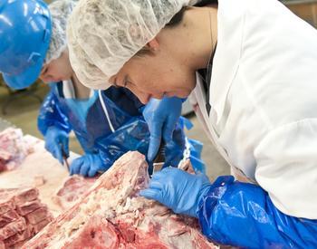 Oregon State University Animal Sciences instructor Lea Ann Kinman teaches students meat processing at the OSU Clark Meat Center.