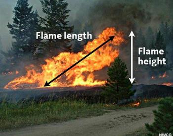 flame length and height