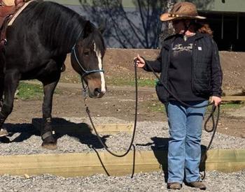 Shirley Byrne is holding the reigns while she guides her of her horse, Sierra.