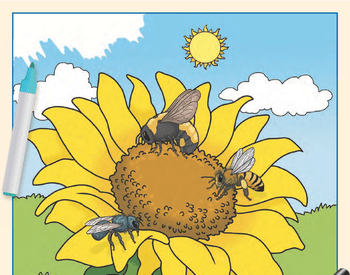 The cover of Explore the Bees of Oregon activity book is a drawing of three bees perches on a yellow sunflower, set against a backdrop of a green field and blue sky with clouds. There's a drawing of a magnifying glass in the corner and a blue marker in another corner.