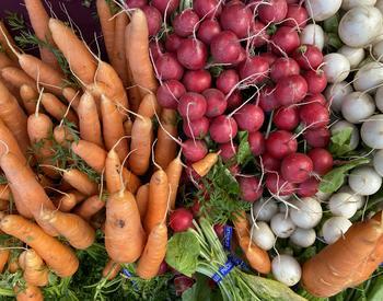 bunches of carrots and radishes at the market
