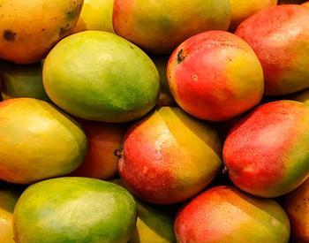 A full-frame view of mangoes piled on top of one another.