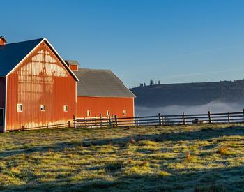A red barn with a green pasture in Jefferson, Oregon.