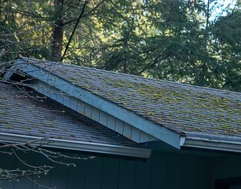 A roof with moss growing on the shingles.