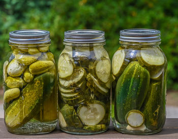 Three jars of home made dill pickles.