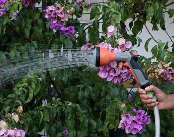 A gardener watering flowers with a garden hose.