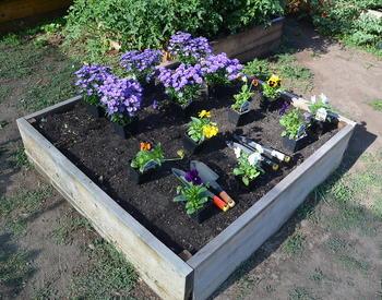 Build raised beds or tables out of wood, concrete blocks or thick pavers.