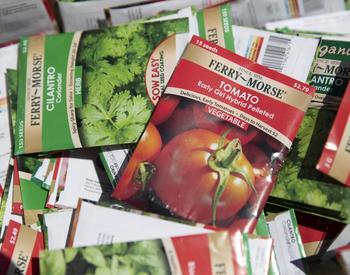 Seed packets for garden vegetables