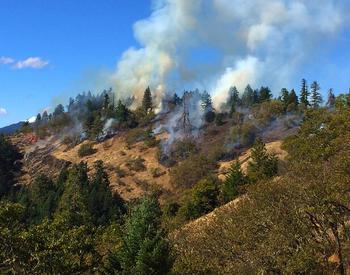 two columns of smoke rising from forested hillside