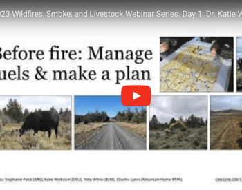 Before fire: Manage fuels and make a plan