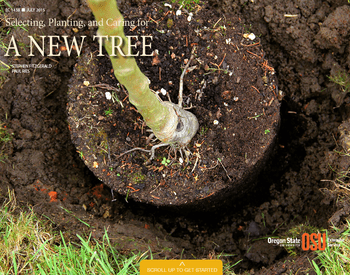 Cover image of Selecting, Planting, and Caring for a New Tree publication