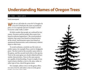 Image of Understanding Names of Oregon Trees publication