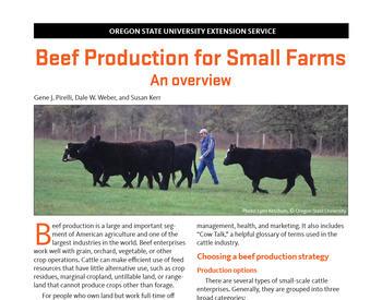 Cover image of "Beef Production for Small Farms: An Overview" publication