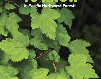 Cover of Shrubs to Know in Pacific Northwest Forests by Edward C. Jensen