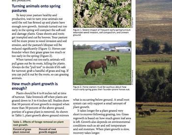 Image of Living on the Land: Spring Pasture Essentials publication