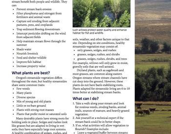Image of "Living on the Land: Got a Stream? Grow Plants!" publication