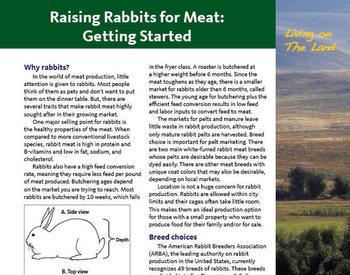 Cover image of Living on The Land: Raising Rabbits for Meat publication