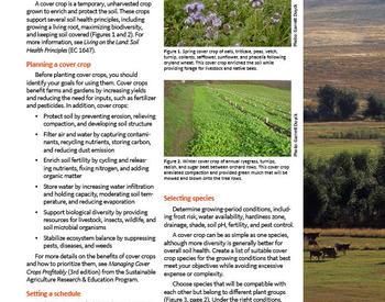 Cover image of "Living on the Land: Guide to Growing Cover Crops"