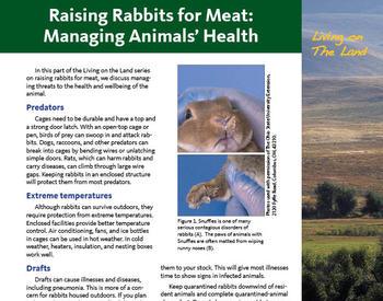 Cover image of "Living on The Land: Raising Rabbits for Meat—Managing Animals' Health"