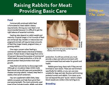 Cover image of "Living on The Land: Raising Rabbits for Meat—Basic Care" publication