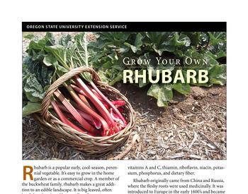 Cover image of "Grow Your Own Rhubarb"