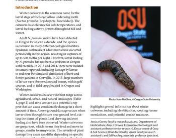 Winter Cutworm: A New Pest Threat in Oregon