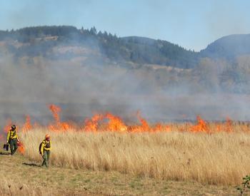 Wildfire burning a field