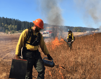Firefighter in field managing  a burn