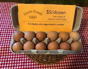 one dozen eggs for sale