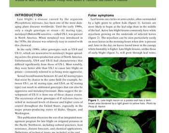Image of Managing Late Blight on Irrigated Potatoes in the Pacific Northwest publication