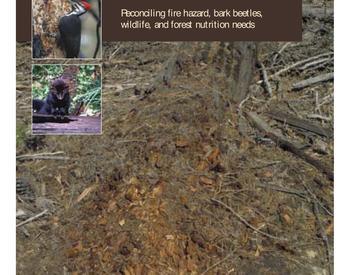 Image of Managing Organic Debris for Forest Health publication