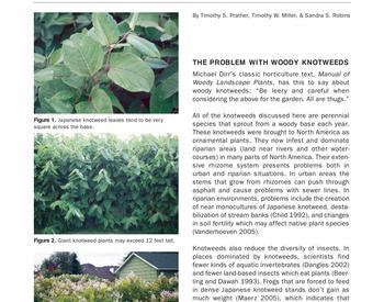 Image of Knotweed Shrub Complex: Identification, Biology, and Management publication