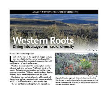 cover image of "Western Roots: Diving into a sagebrush sea of diversity" publication