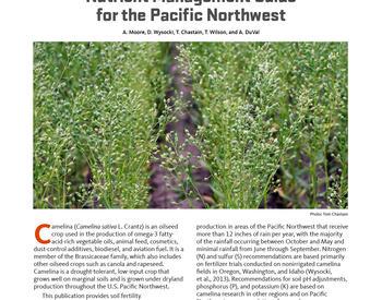 Cover image of "Camelina Nutrient Management Guide for the Pacific Northwest"