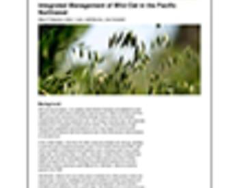 Cover image of "Integrated Management of Wild Oat in the Pacific Northwest"
