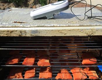 Salmon filet pieces on rack of smoker.