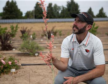 Lloyd Nackley, OSu Extension nursery production and greenhouse management specialist, is part of a multi-state research team of six Western universities to determine the climate readiness of selected ornamental plants.